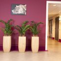 Mekelenkamp kunstplantenwinkel.nl project buitensluit (20 van 25)